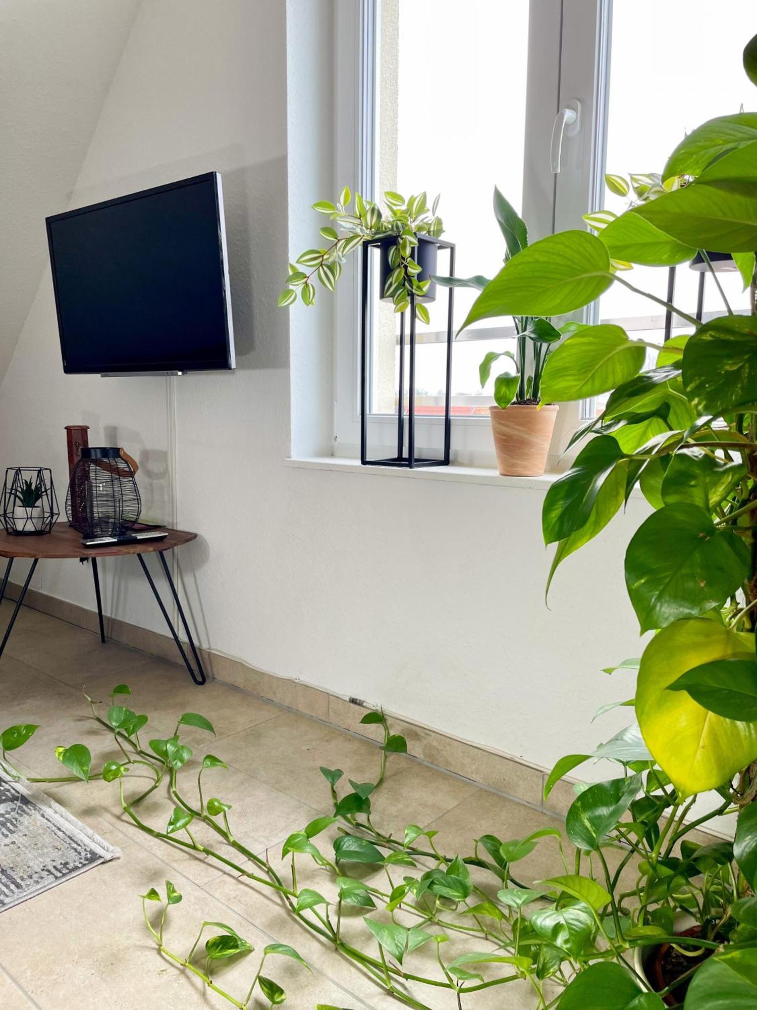 Ahaus: Stadtoase Mit Terrasse & Privater Garage 外观 照片
