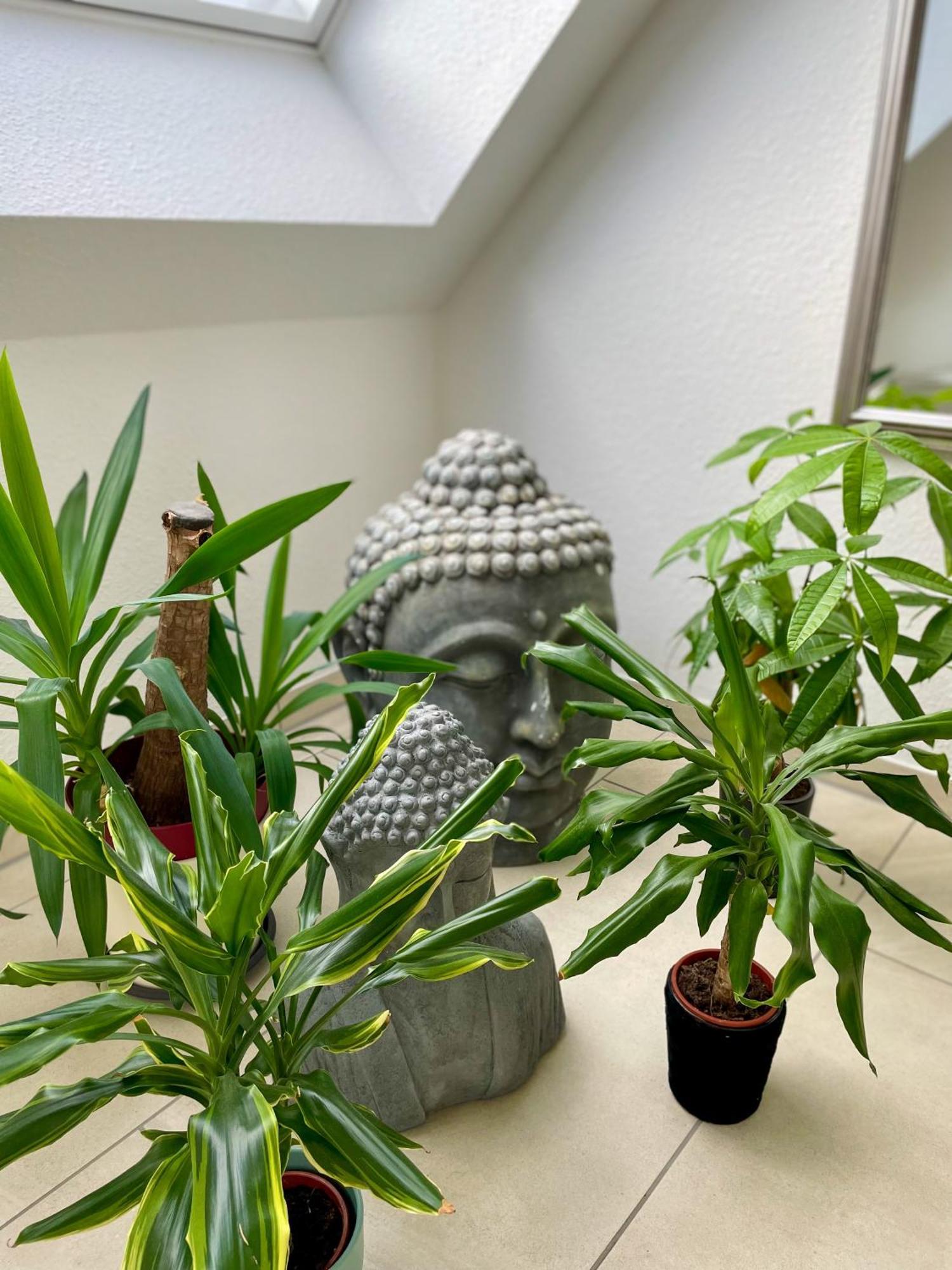 Ahaus: Stadtoase Mit Terrasse & Privater Garage 外观 照片